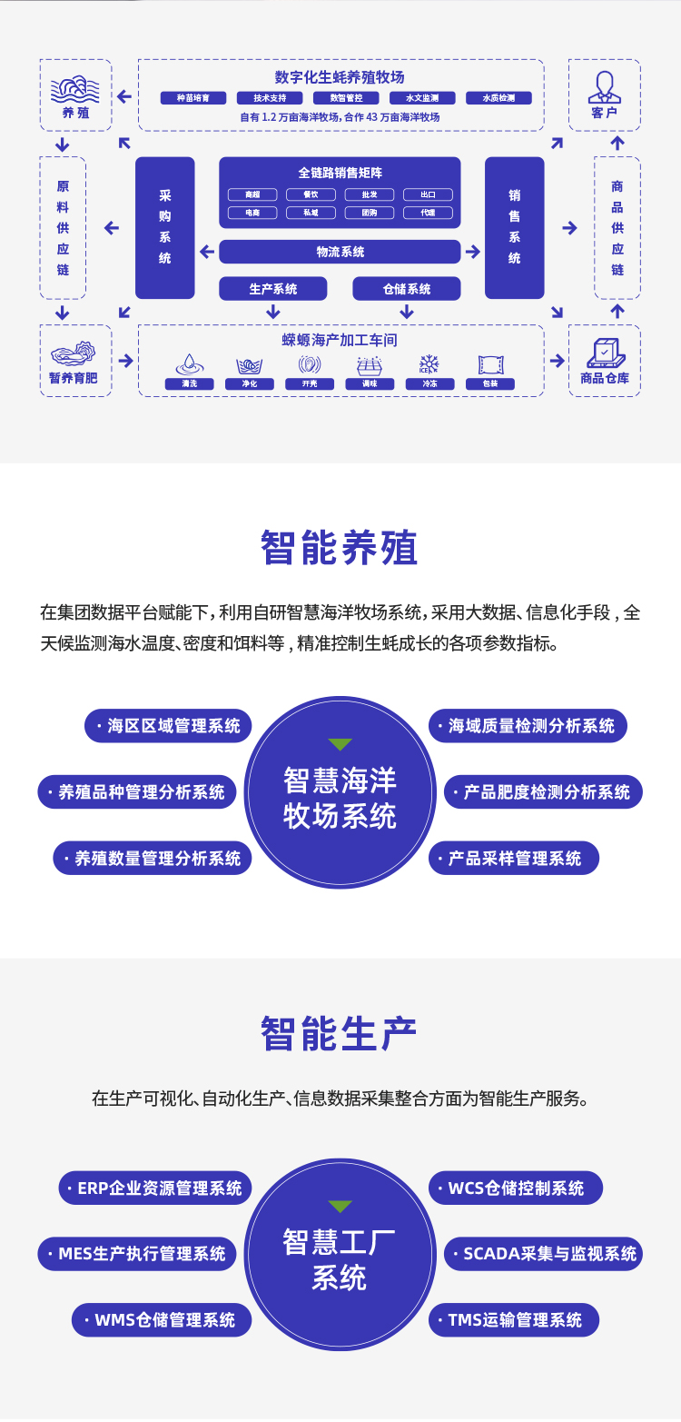 灯塔水母数智化升级