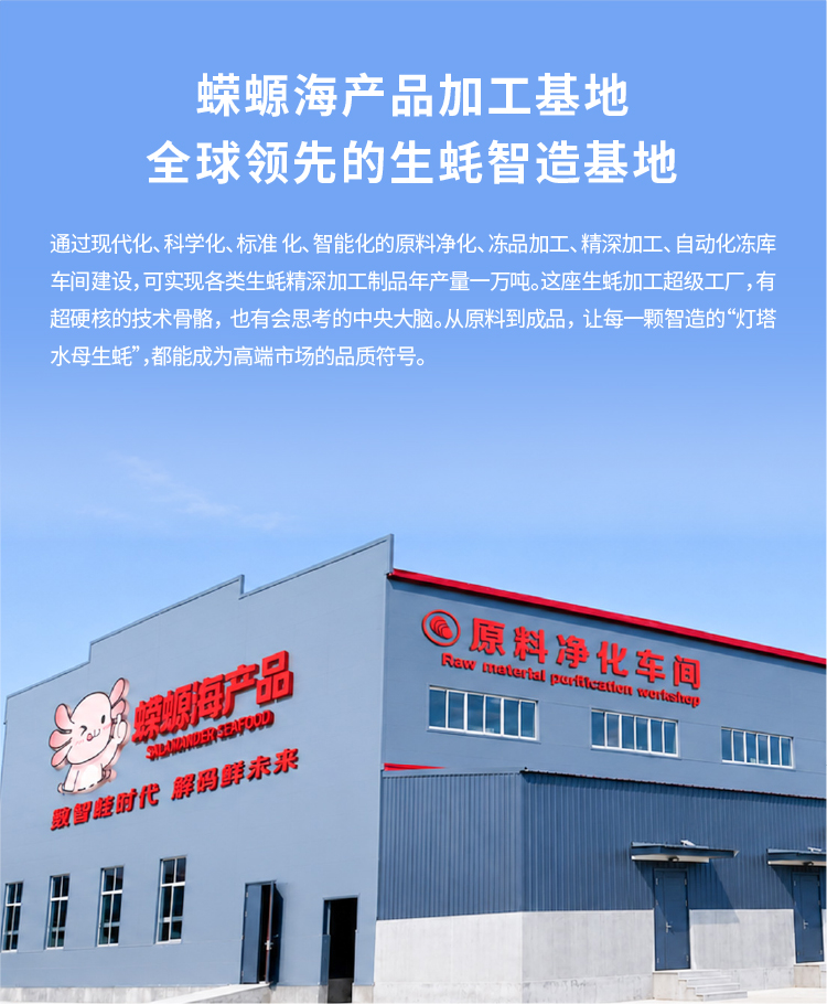 灯塔水母精深加工