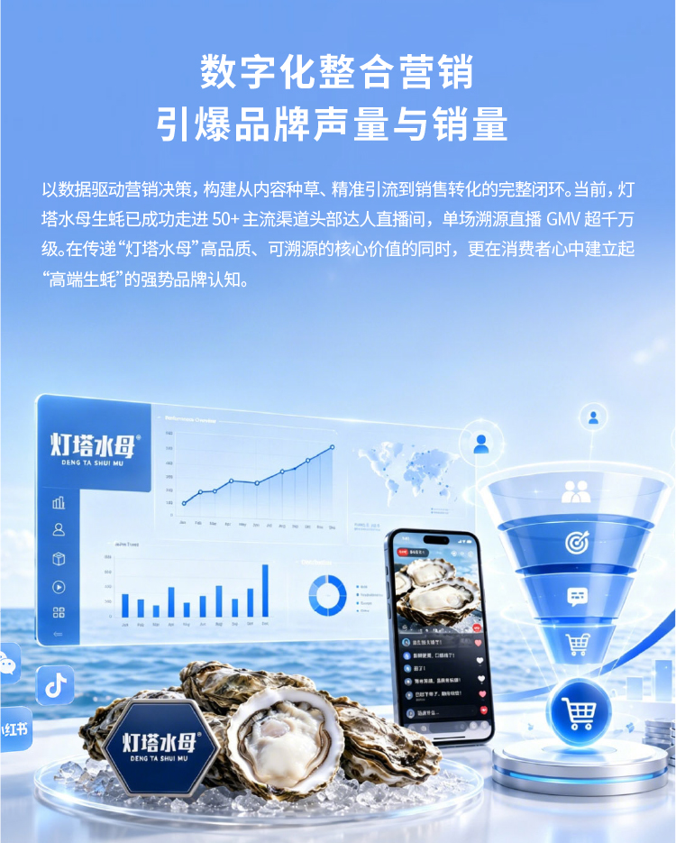 灯塔水母全国运营