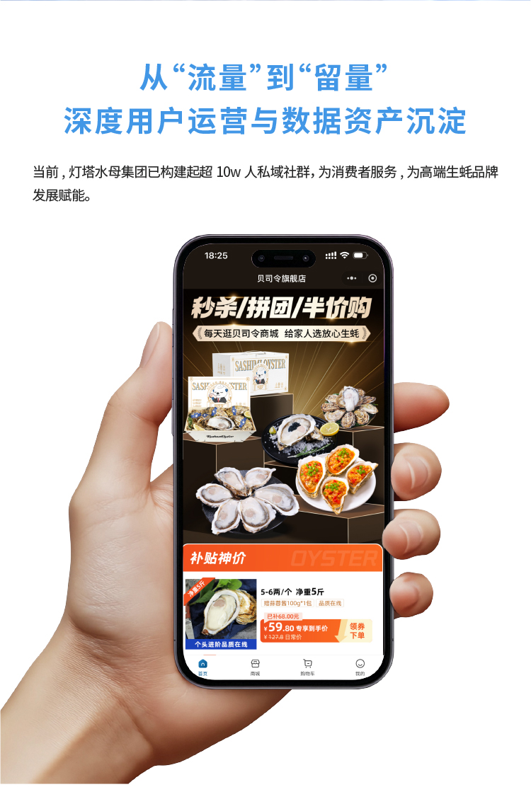 灯塔水母全国运营