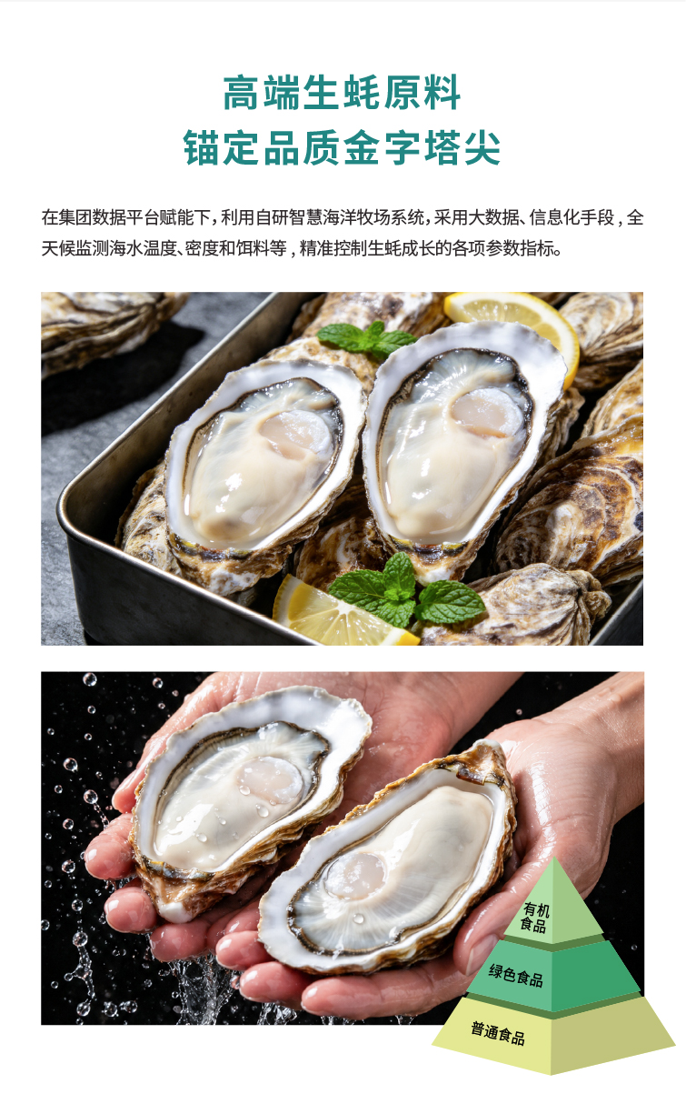 灯塔水母生态养殖