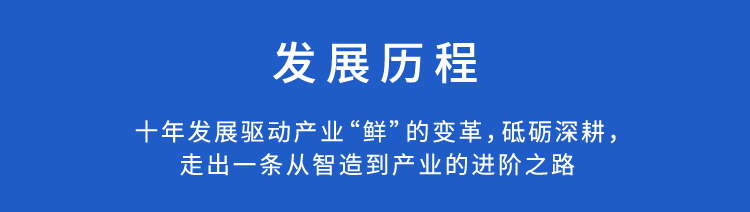 发展历程