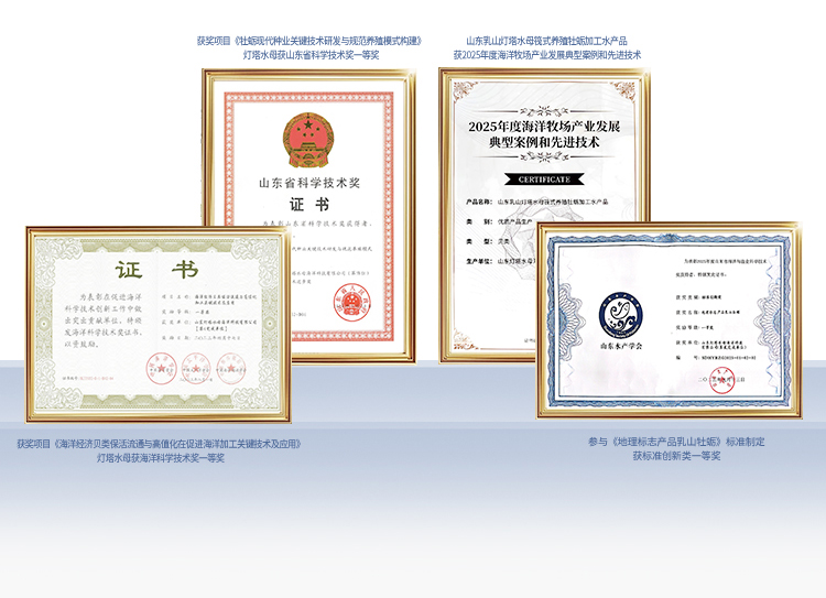 灯塔水母四项生产技术荣誉