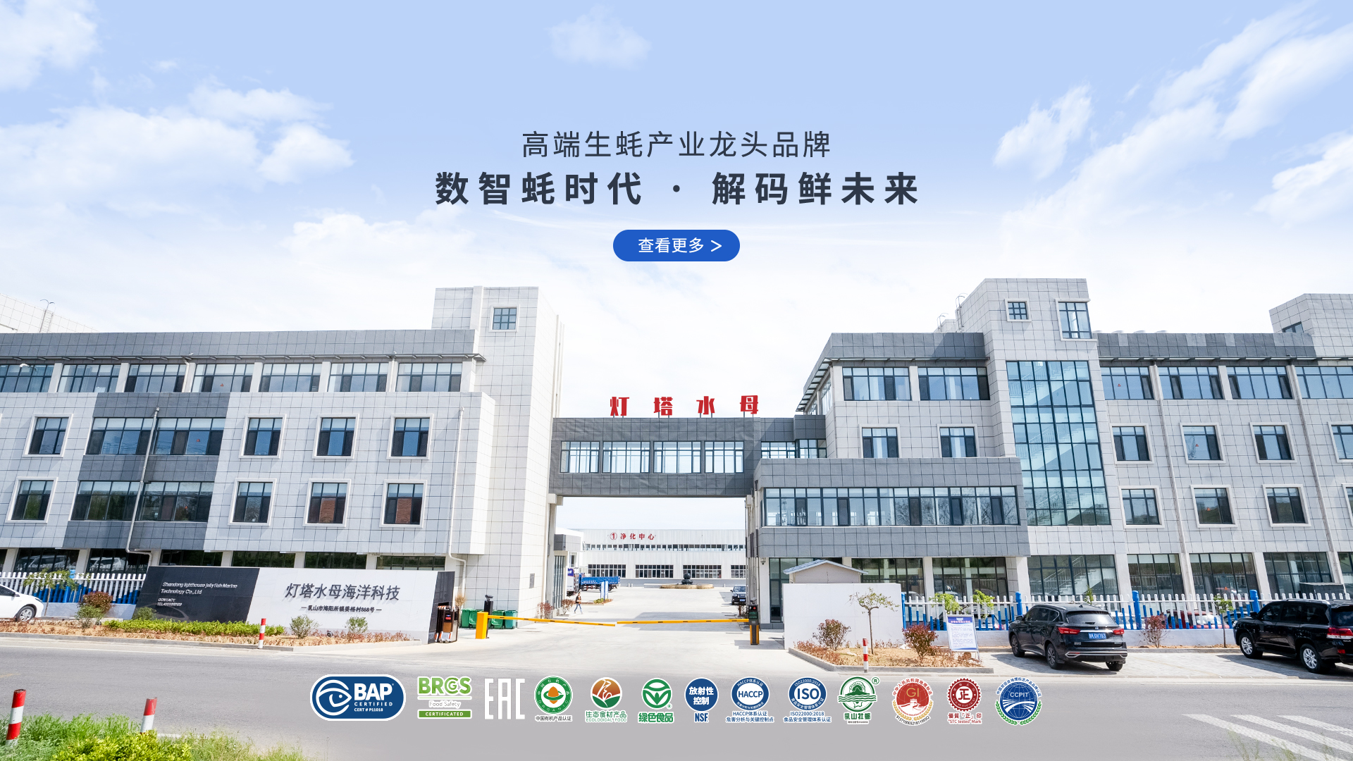 灯塔水母高端生蚝产业品牌与现代化加工基地