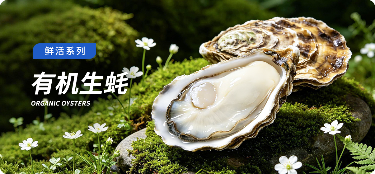 灯塔水母刺身生蚝系列