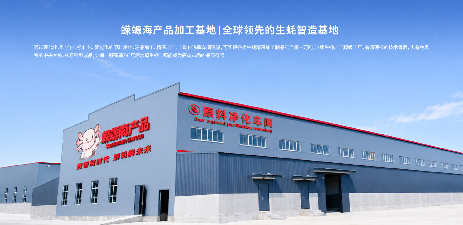 灯塔水母精深加工