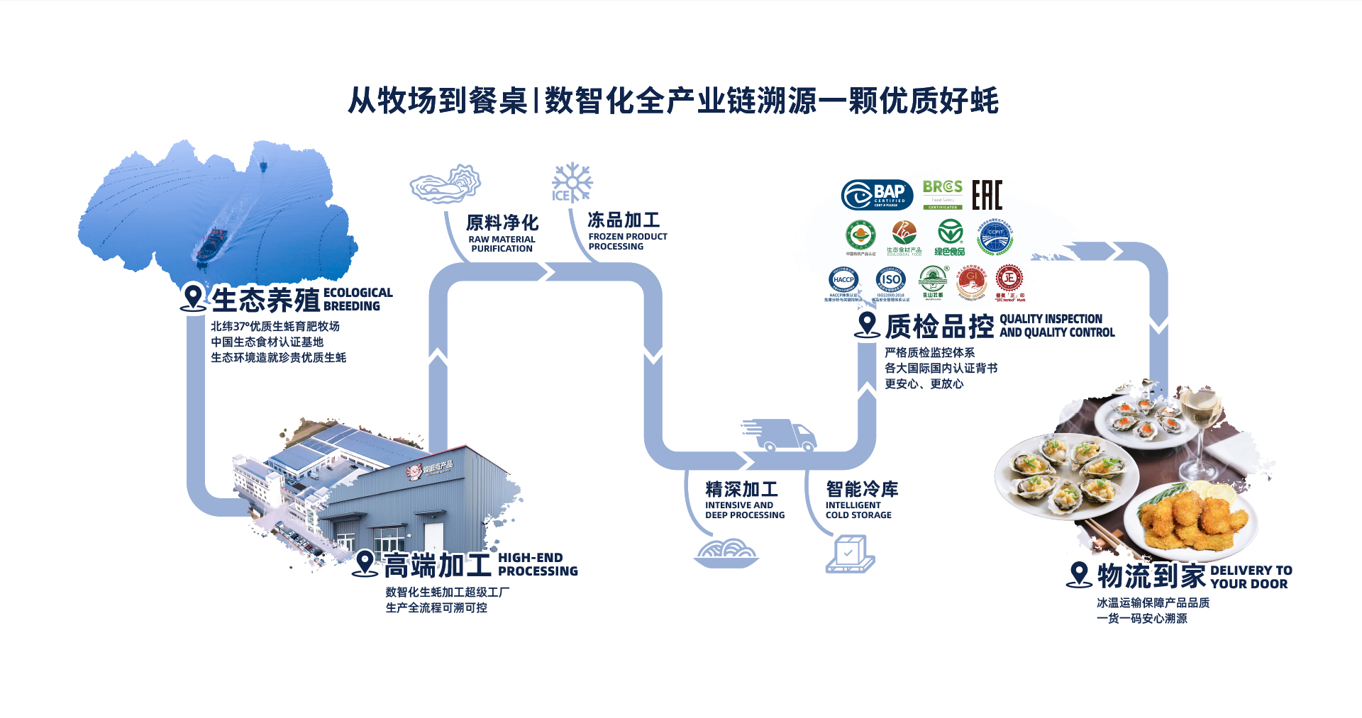 灯塔水母精深加工