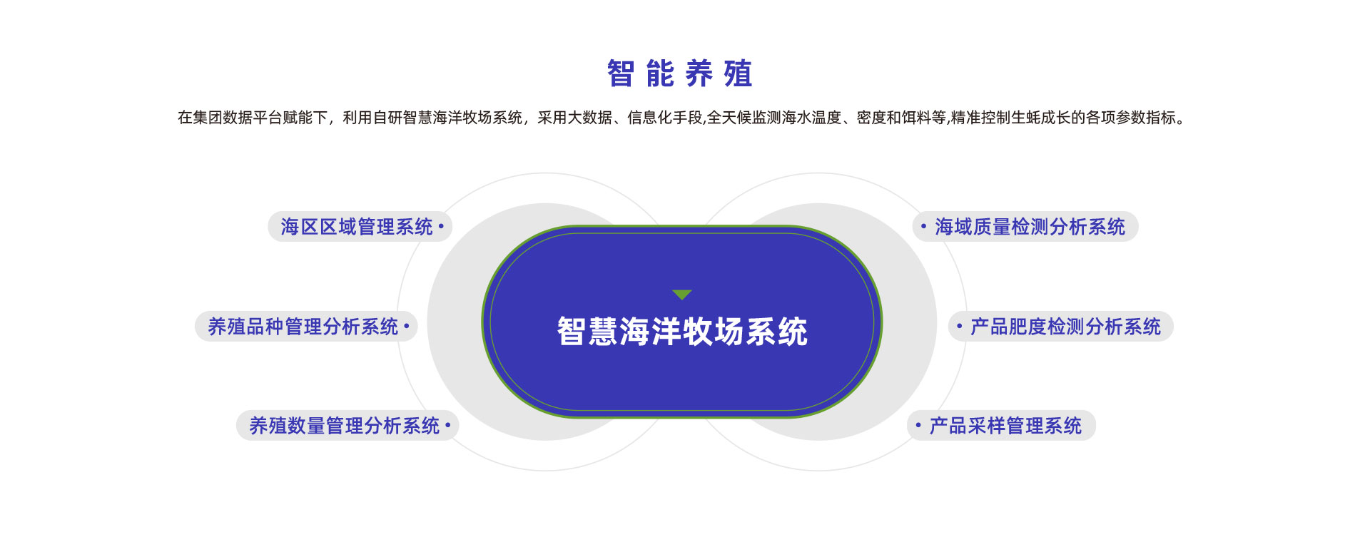 灯塔水母数智化升级