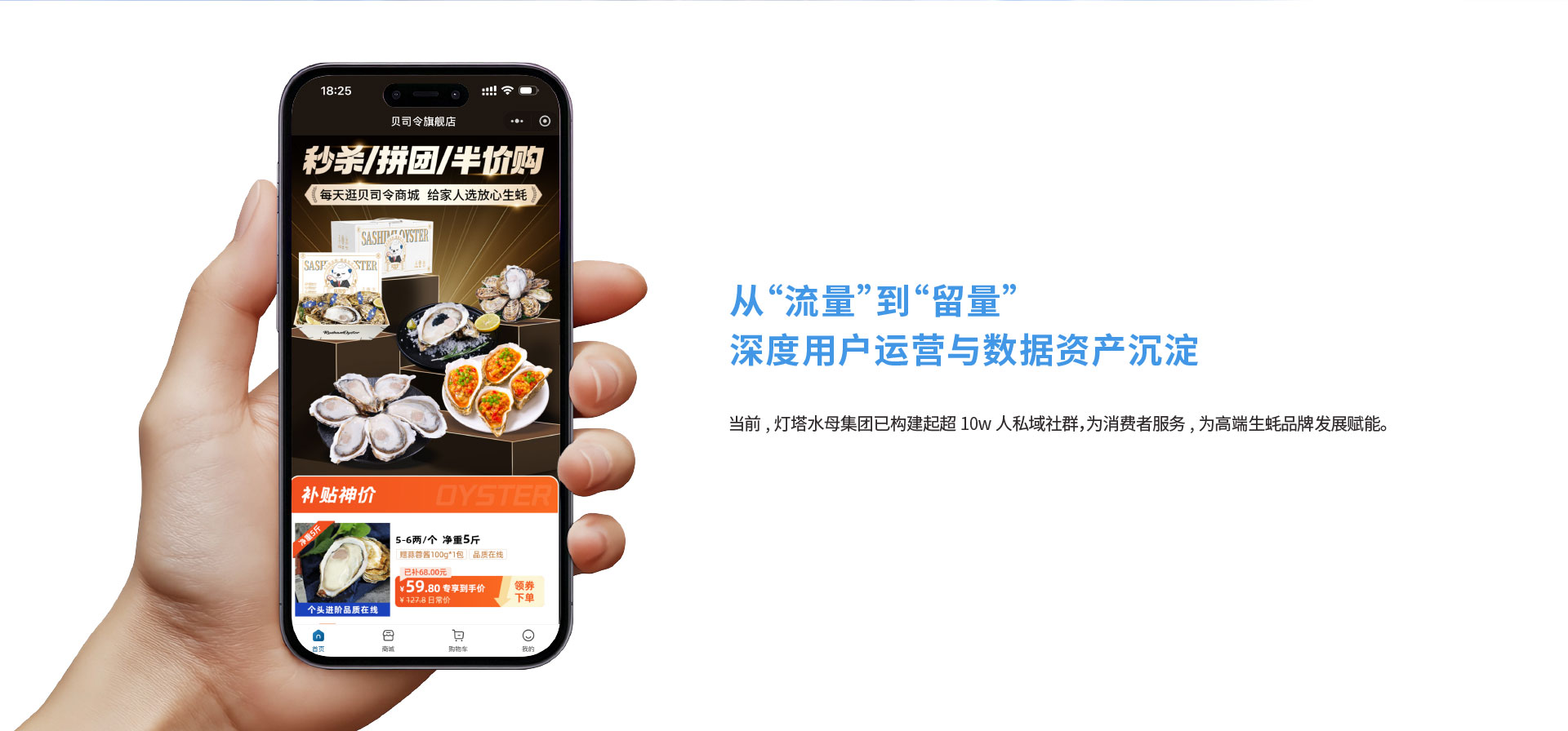 灯塔水母全国运营